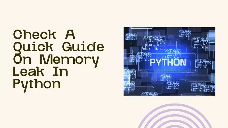 Check A Quick Guide On Memory Leak In Python